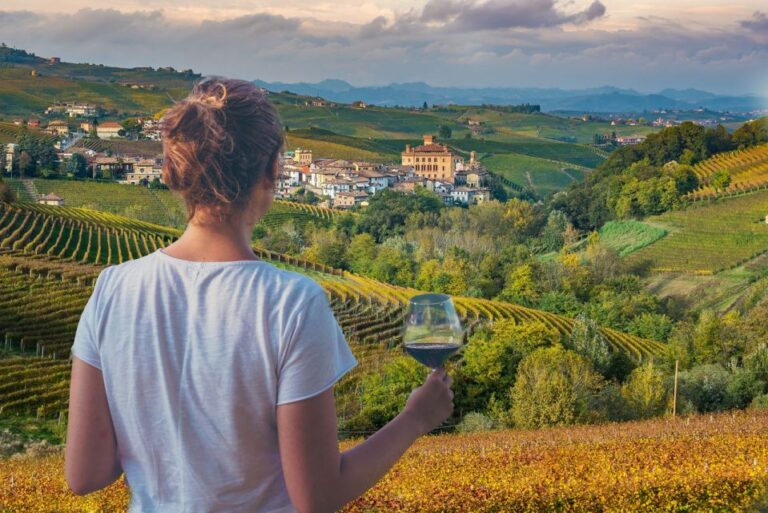 From Milan: Piemonte Private Wine Tour With a Private Driver