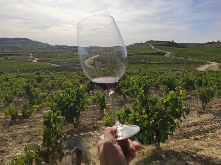 From Pamplona or Logroño: Rioja Wineries Day Trip W/ Tasting