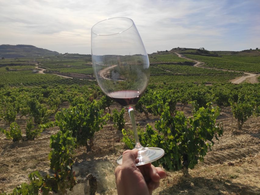 From Pamplona or Logroño: Rioja Wineries Day Trip W/ Tasting - Tour Overview