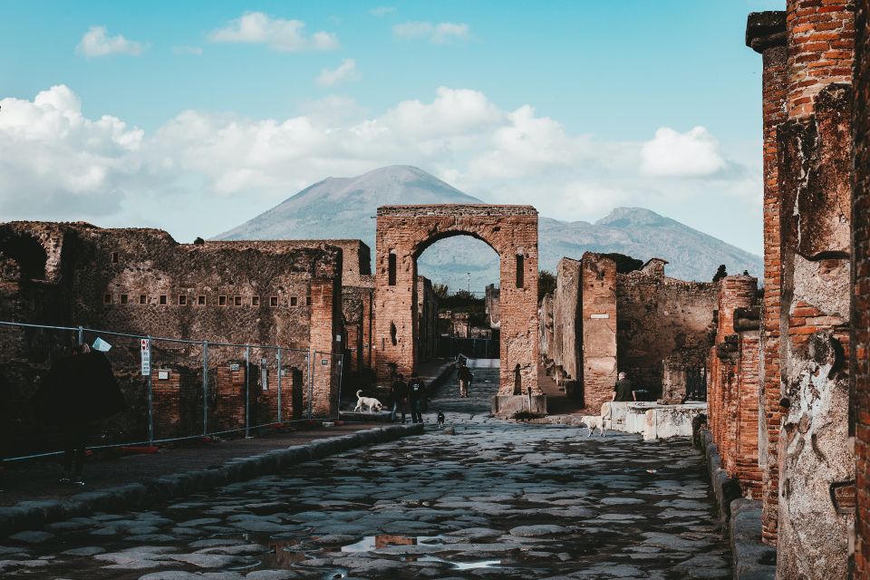 From Rome: Pompeii Private Full-Day Trip With Tour - Trip Details