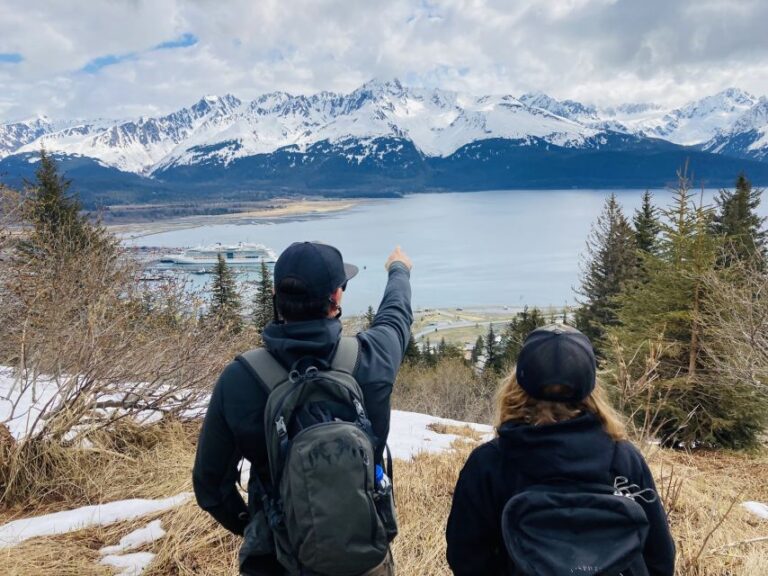 From Seward: 4-hour Wilderness Hiking Tour