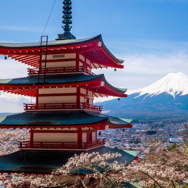 From Tokyo: Mount Fuji and Hakone Private Day Trip
