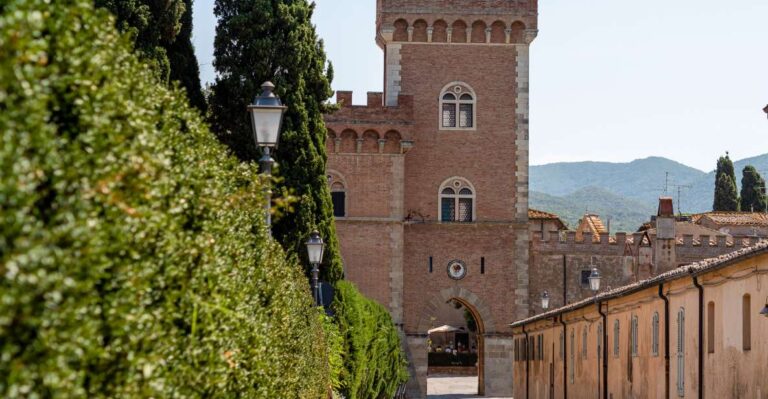 Full Day Bolgheri Tuscan Private Tour From Florence