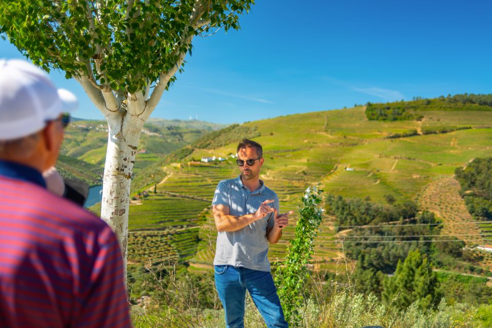 Full-Day Douro Wine Tour With Lunch and River Cruise - Tour Details