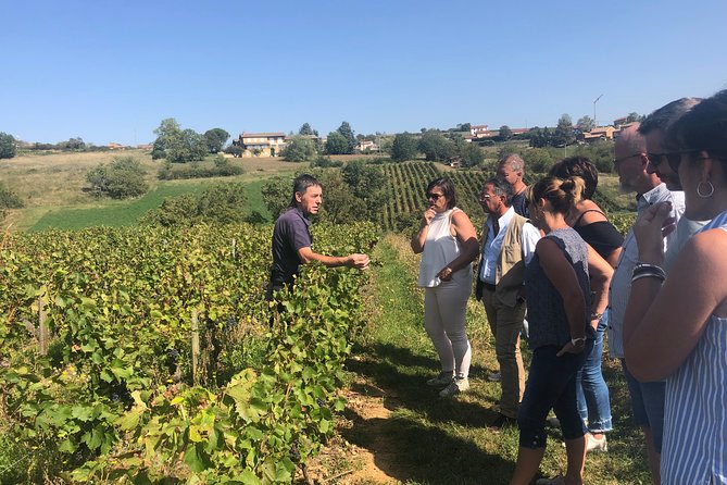 Golden Stones Beaujolais Wine Tour With Tastings From Lyon - Tour Details and Booking Information