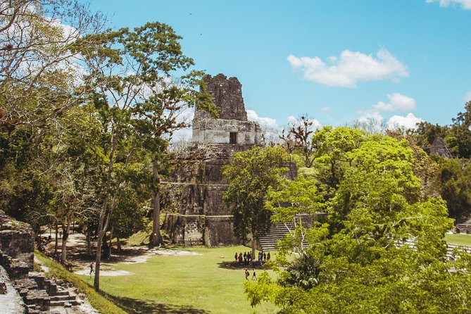 Guided All-Day Private Tour of Tikal National Park  – Flores