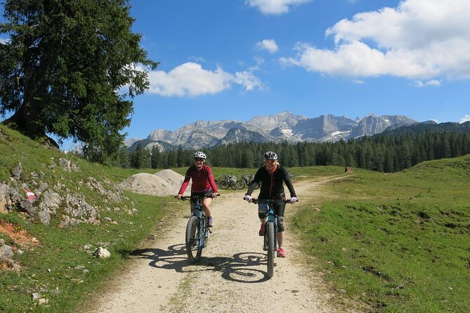 Guided E-Bike Tour of the Alpine Pastures in the Salzkammergut