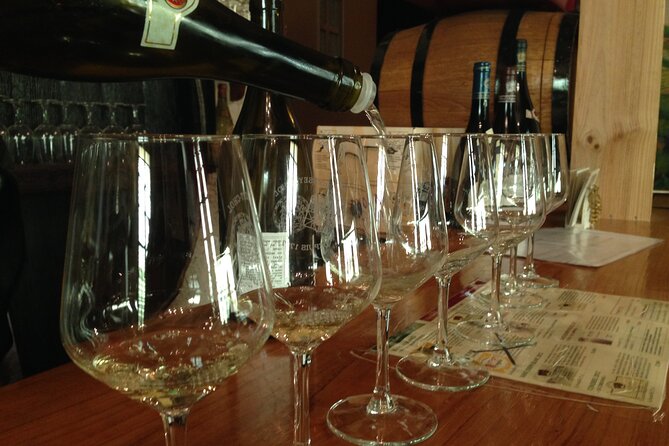 Half-Day Cotes Du Rhone Private Wine Tour From Lyon - Tour Highlights