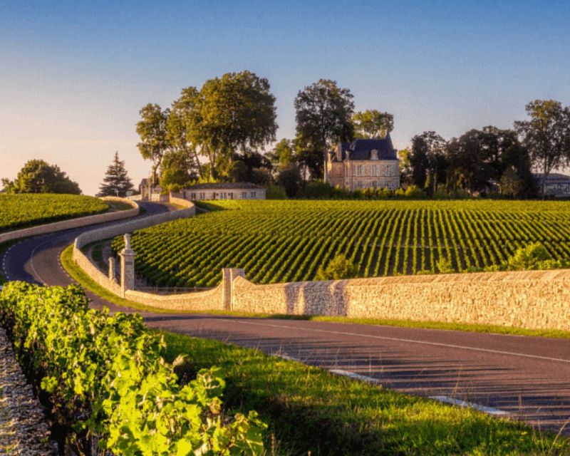 Half-Day in the Médoc From Bordeaux - 2 Wineries and 6 Wines - Tour Overview