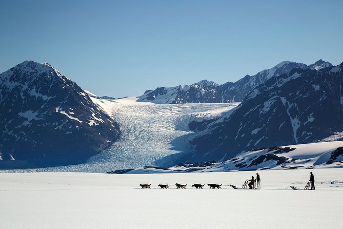 Helicopter Glacier Dogsled Tour Lower Glacier Landing – ANCHORAGE AREA