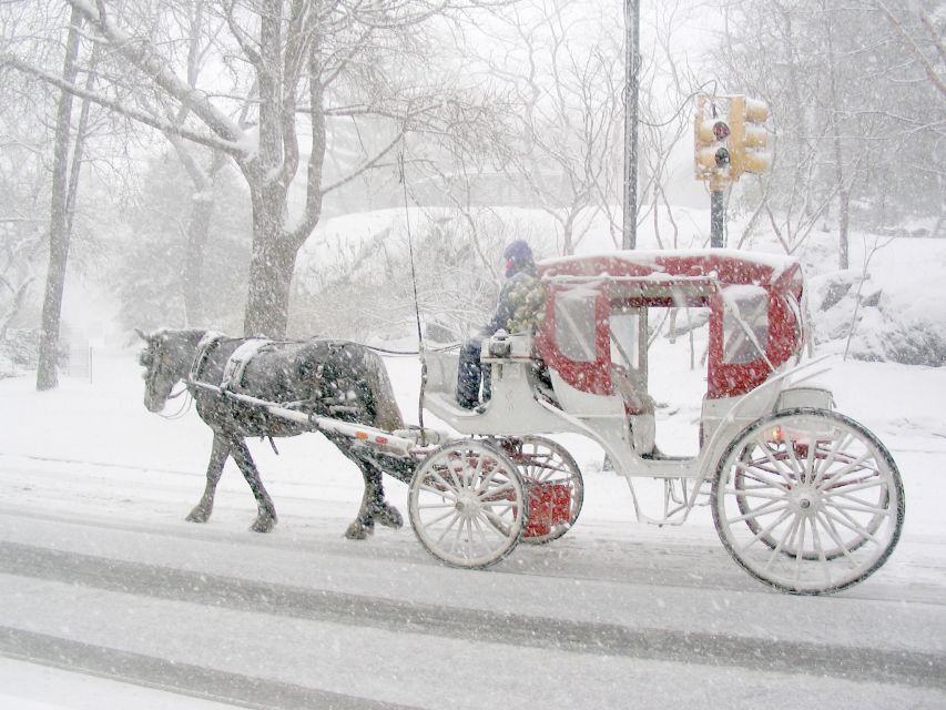 Horse and Carriage Rides Central Park - Booking Information