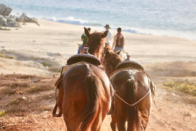 Horseback Riding Tour in Cabo San Lucas - Tour Details