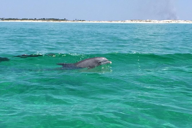 Hydrojet Dolphin Cruise in Destin FL