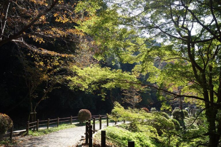 Kyoto: Ginkakuji and the Philosopher’s Path Guided Bike Tour