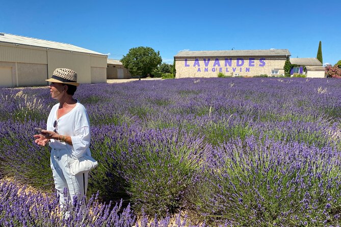Lavender Discovery Private Tour in Provence