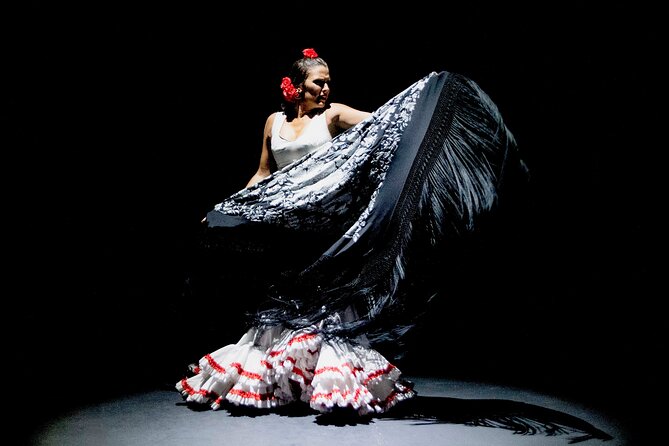 Live Flamenco Show in Seville - Show Details