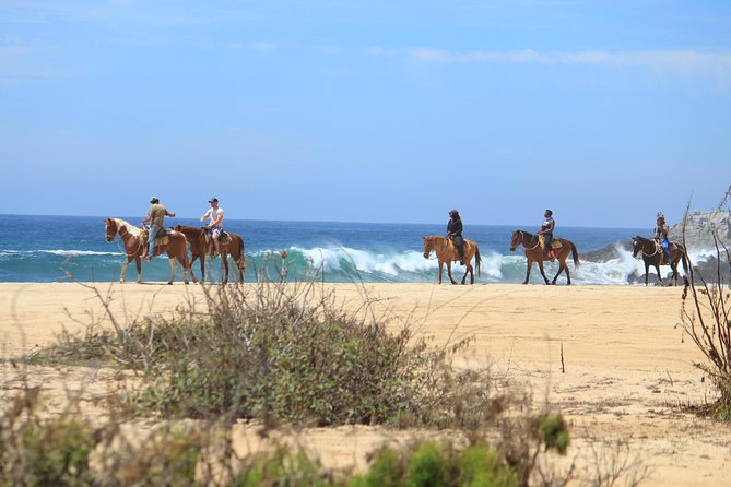Los Cabos ATV and Pacific Horseback Riding Combo Tour - Tour Pricing and Booking Details