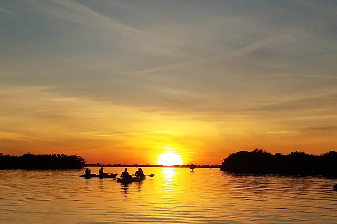 Mangrove Tunnels, Manatee, and Dolphin Sunset Kayak Tour With Fin Expeditions - Tour Highlights