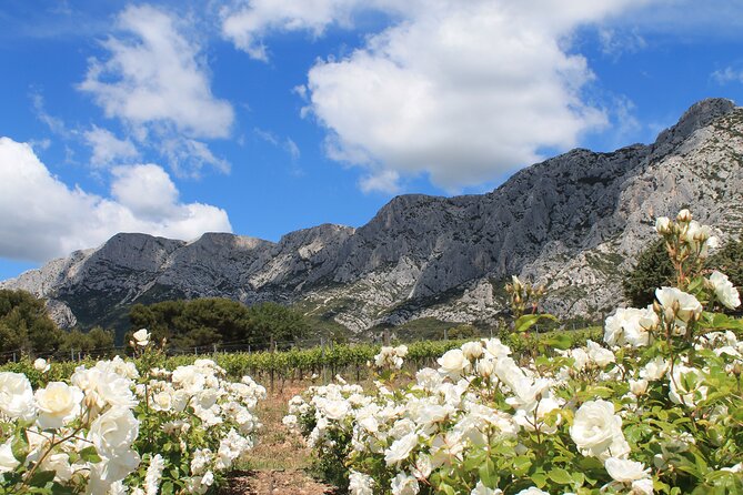 Marseille Shore Excursion - Private Full Day Wine Tour in Provence - Tour Details