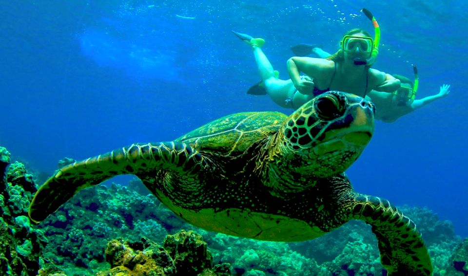 Maui: Cruise With Snorkeling and Barbecue Lunch - Booking Details