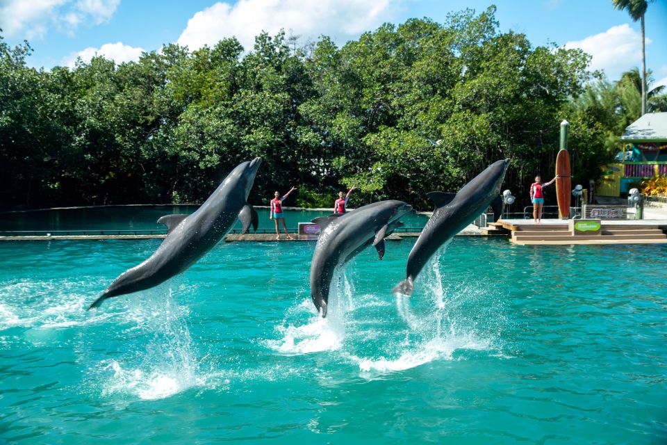 Miami: Seaquarium Entrance Ticket With Dolphin Encounter - Ticket Details
