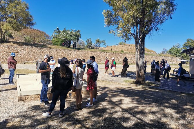 Monte Alban – Full Day Guided Tour With or Without Food – Oaxaca