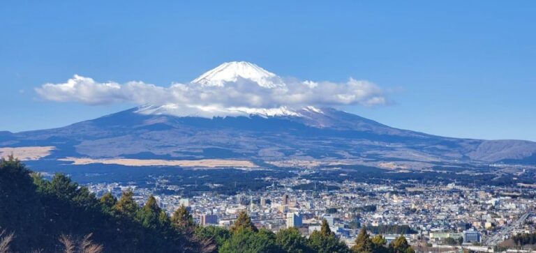 Mt Fuji and Hakone Private Tour With English Speaking Driver