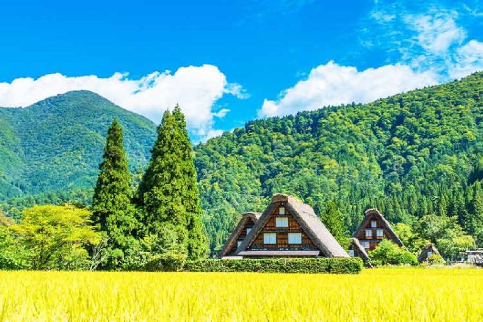 Nagoya: Shirakawa-go Village and Takayama UNESCO 1-Day Trip - Tour Highlights