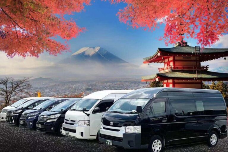Narita Airport (Nrt): Private One-Way Transfer To/From Fuji