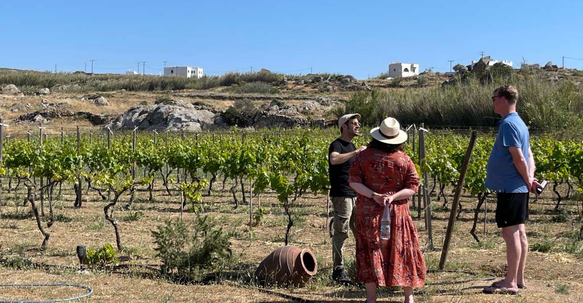 Naxos: Private Vineyard Tour & Wine Tasting With an Expert - Tour Location and Provider