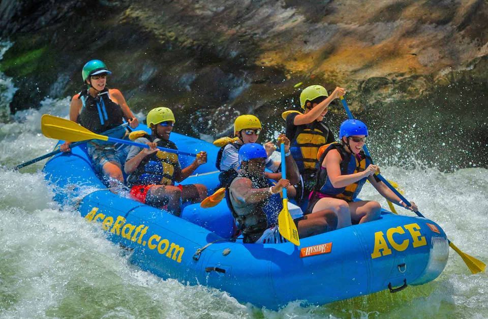 New River Gorge Whitewater Rafting - Lower New Full Day - Experience the Thrill