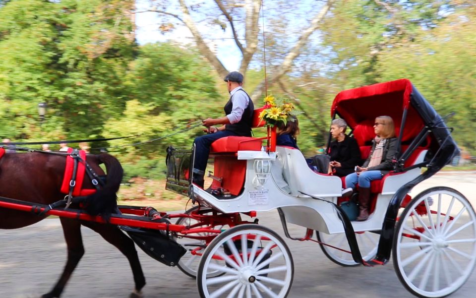 NYC: Guided Standard Central Park Carriage Ride (4 Adults) - Booking Information