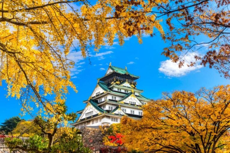 Osaka: 10-Hour Customizable Tour With Private Car