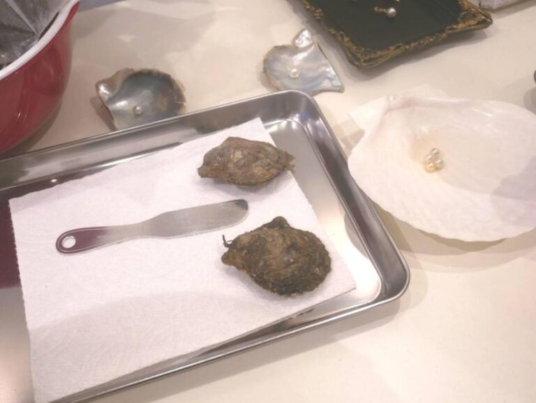 Osaka:Experience Extracting Pearls From Akoya Oysters