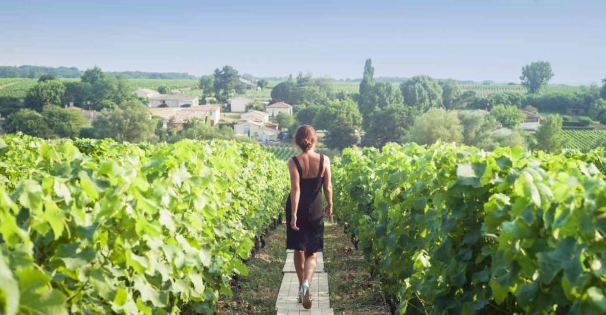 Paris: Discover the Cellars in the Countryside in Champagne - Champagne Region Overview