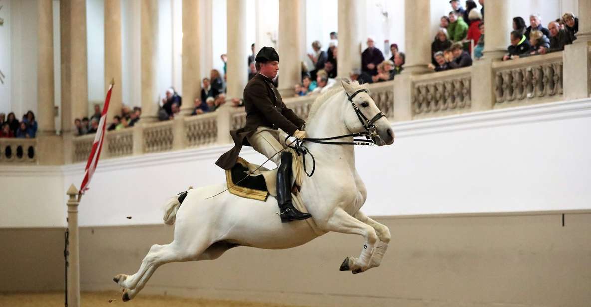 Performance Of The Lipizzans At Spanish Riding School - Lipizzan Performances Overview
