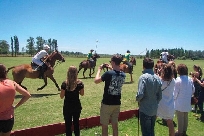Polo Match, BBQ and Lesson Day-Trip From Buenos Aires - Tour Highlights