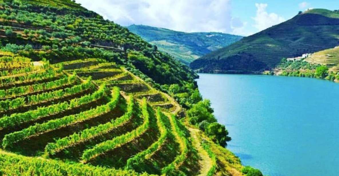 Porto: Douro Valley Guided Tour, 3 Tastings, Lunch & Cruise - Tour Details and Inclusions