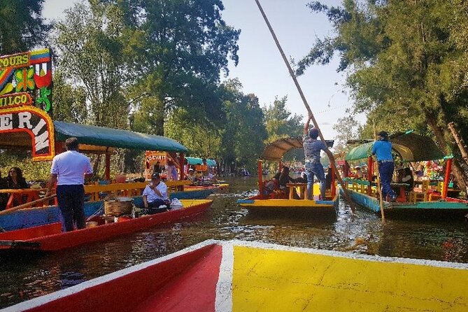 Private City Tour in Frida Kahlo, Coyoacan, and Xochimilco - Traveler Feedback