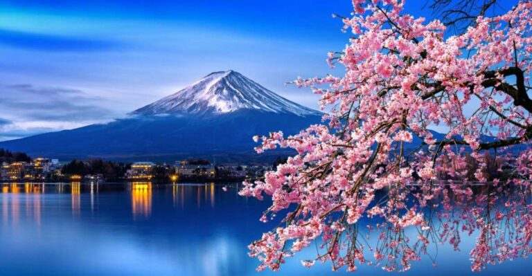 Private Day Trip to Mt. Fuji & Hakone Cherry Blossoms