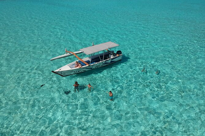 Private Full-Day Lagoon Adventure in Bora Bora With BBQ Lunch - Marine Life Encounters
