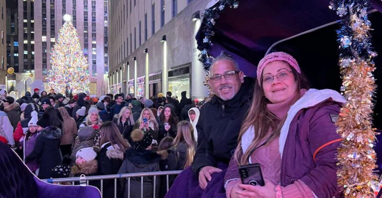 Private NYC Lights or Christmas Lights Horse Carriage Tour