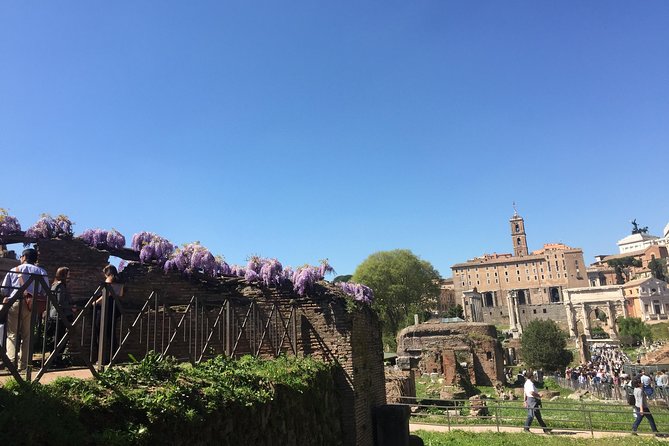 Private Tour: Colosseum & Imperial Rome Art History Walking Tour – 3207A