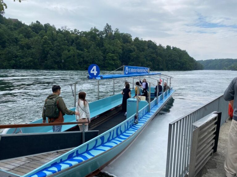 Private Tour to the Rhine Falls With Pick-Up at the Hotel