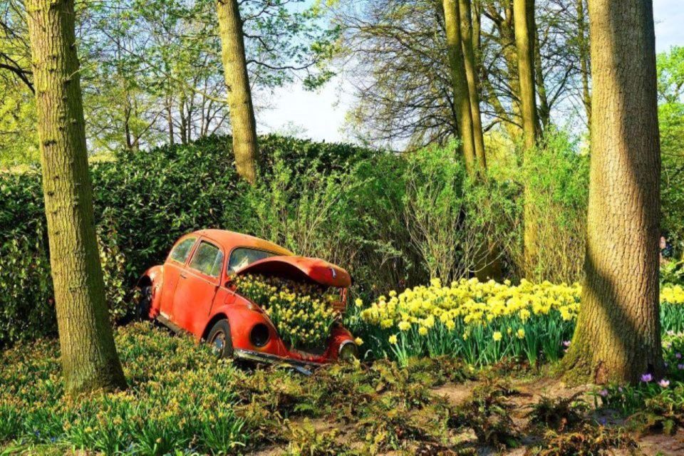 Private Tour to Tulips, Keukenhof, Windmills & Cheese Farm - Booking Details