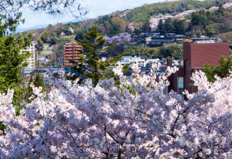 Private & Unique Kanazawa Cherry Blossom “Sakura” Experience