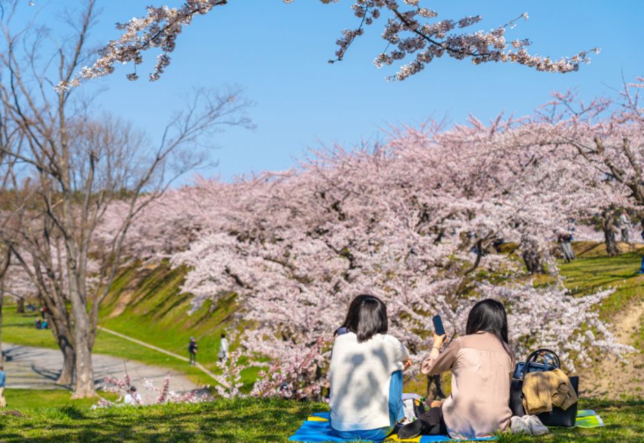 Private & Unique Nagasaki Cherry Blossom "Sakura" Experience - Activity Details