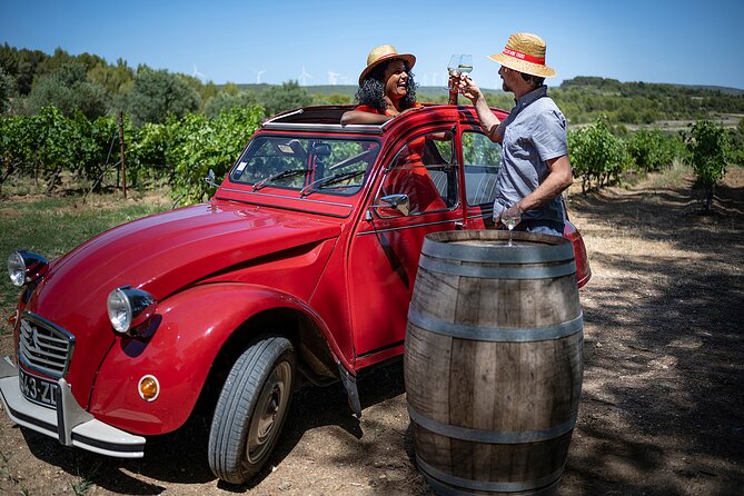 Private Vintage Car Half-Day Wine Tour in 2CV - Tour Overview