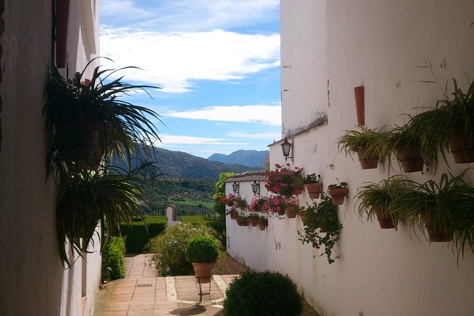 Private White Villages & Ronda Day Tour From Seville