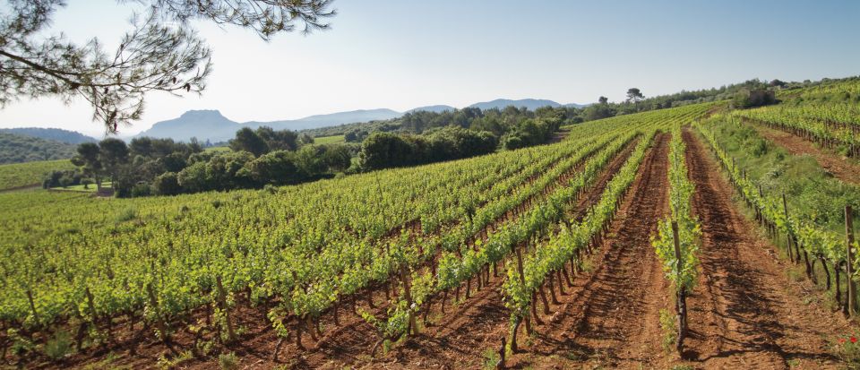 Provence Wine Tour - Small Group Tour From Cannes - Tour Location